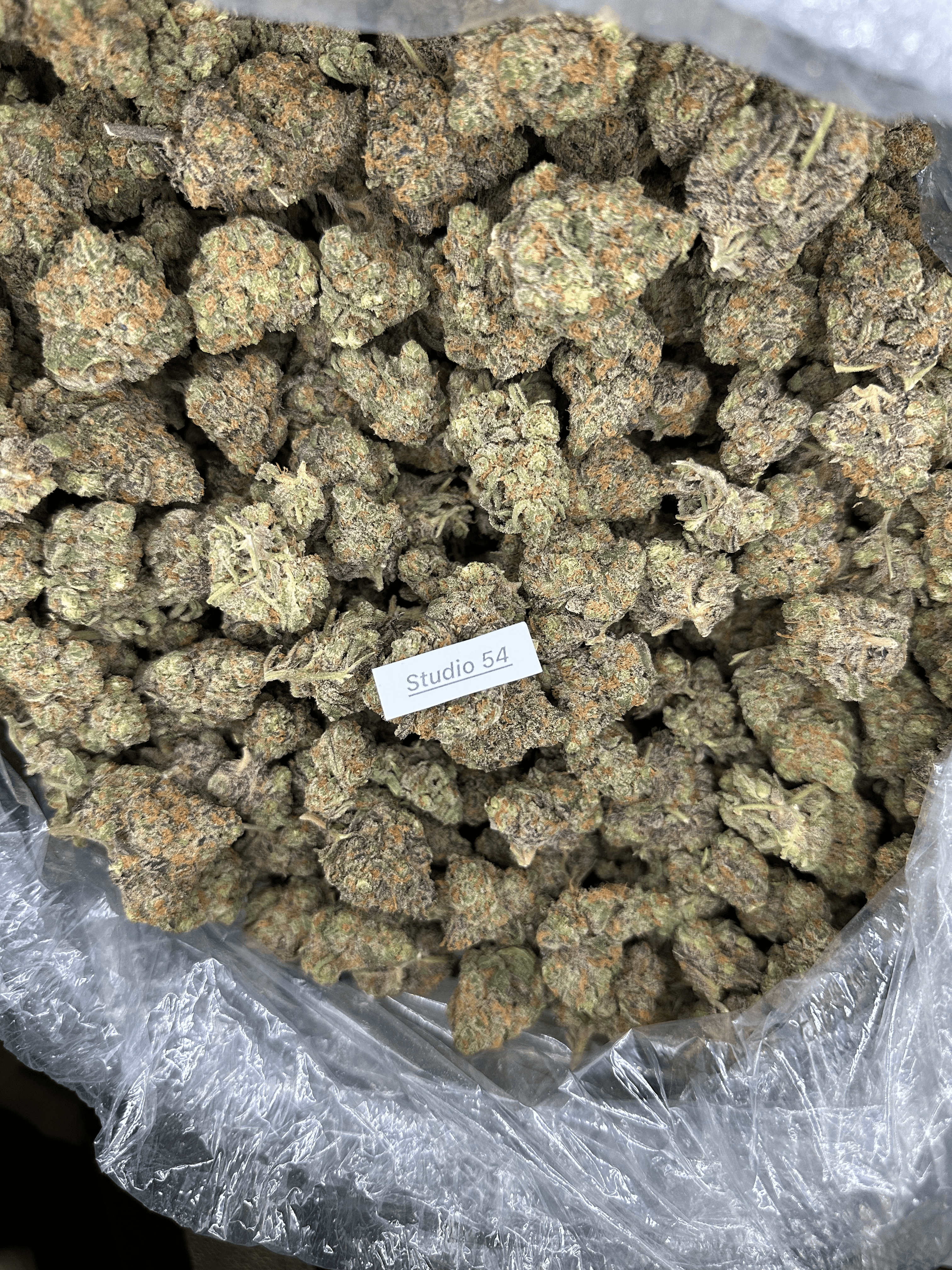 Cured exotic THCa flower from the Big Moose lineup
