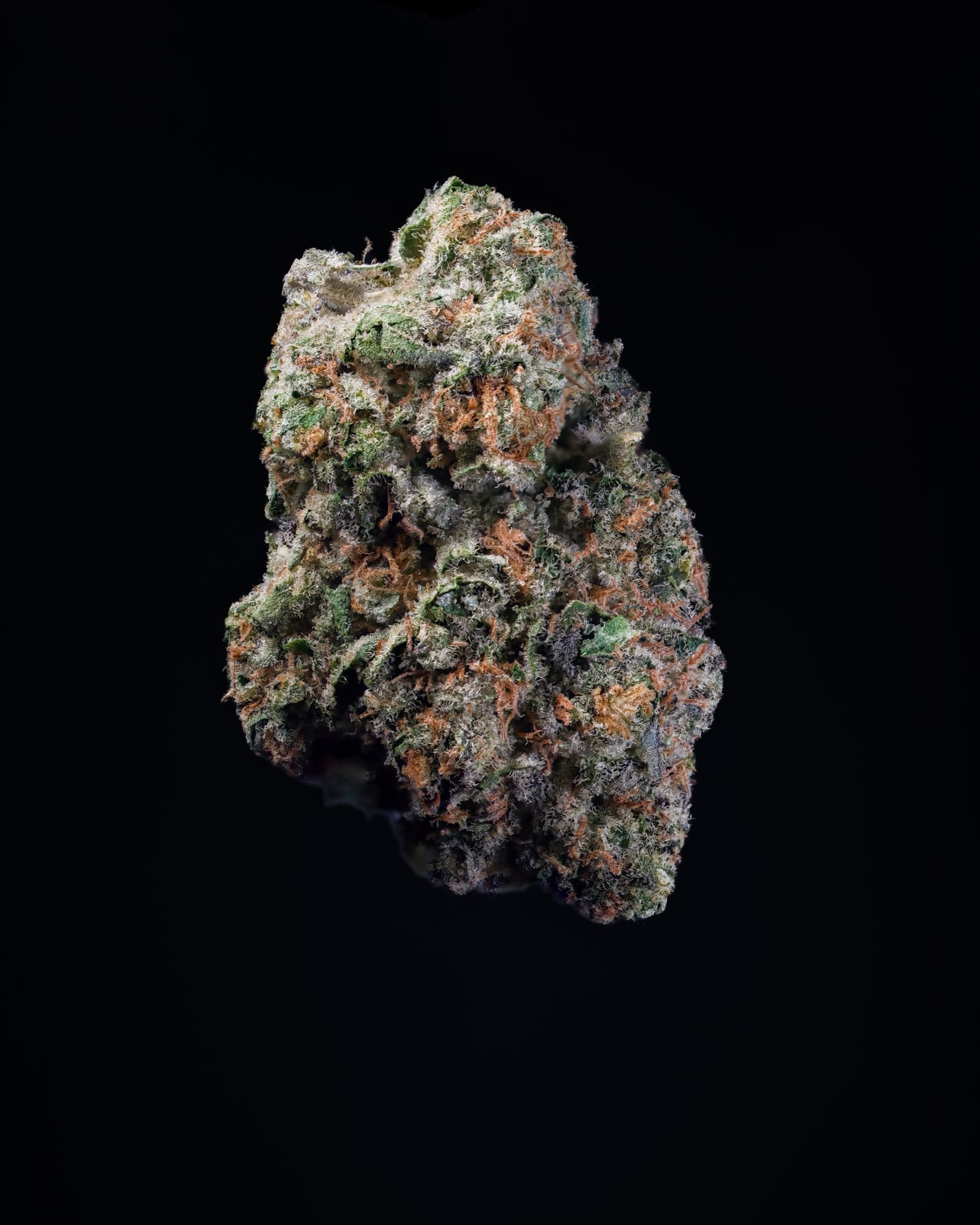 Big Moose Premium Indoor THCp Flower - Purple Kush thumbnail 3